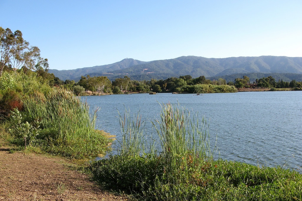 Almaden Lake_ccDon DeBold.jpg