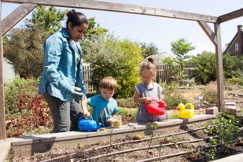Youth Garden 1.jpg