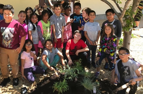 Smiling students posing around garden bed