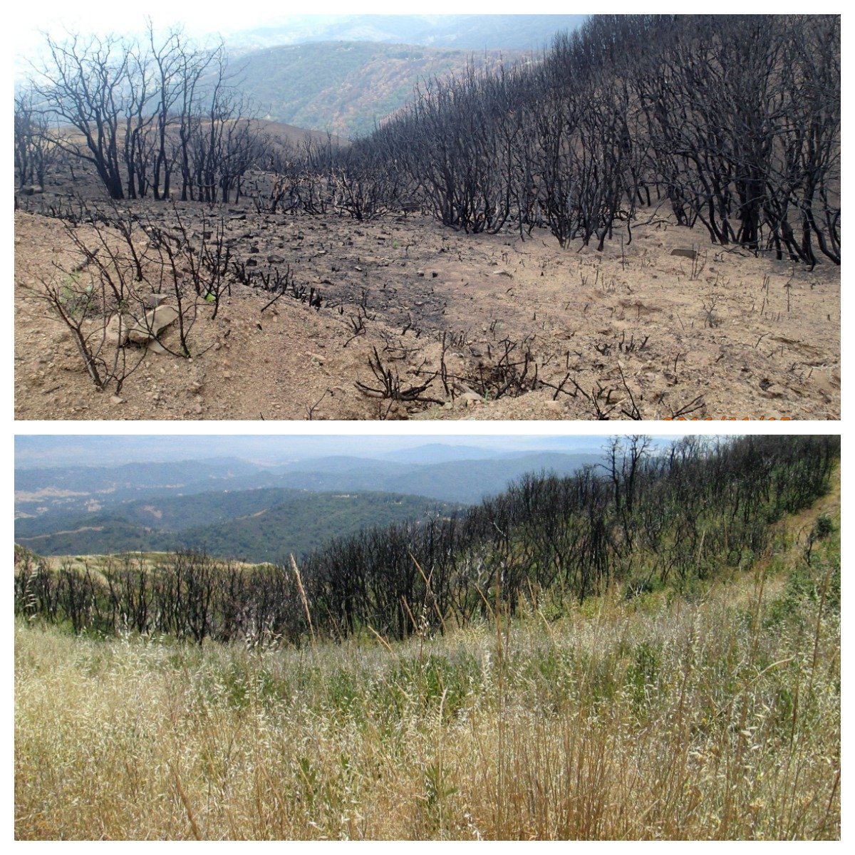 loma fire - station 6 before and after-1