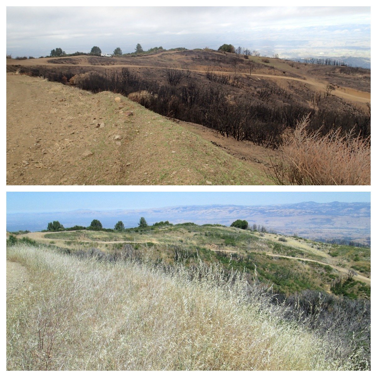 loma fire - station 7 before and after