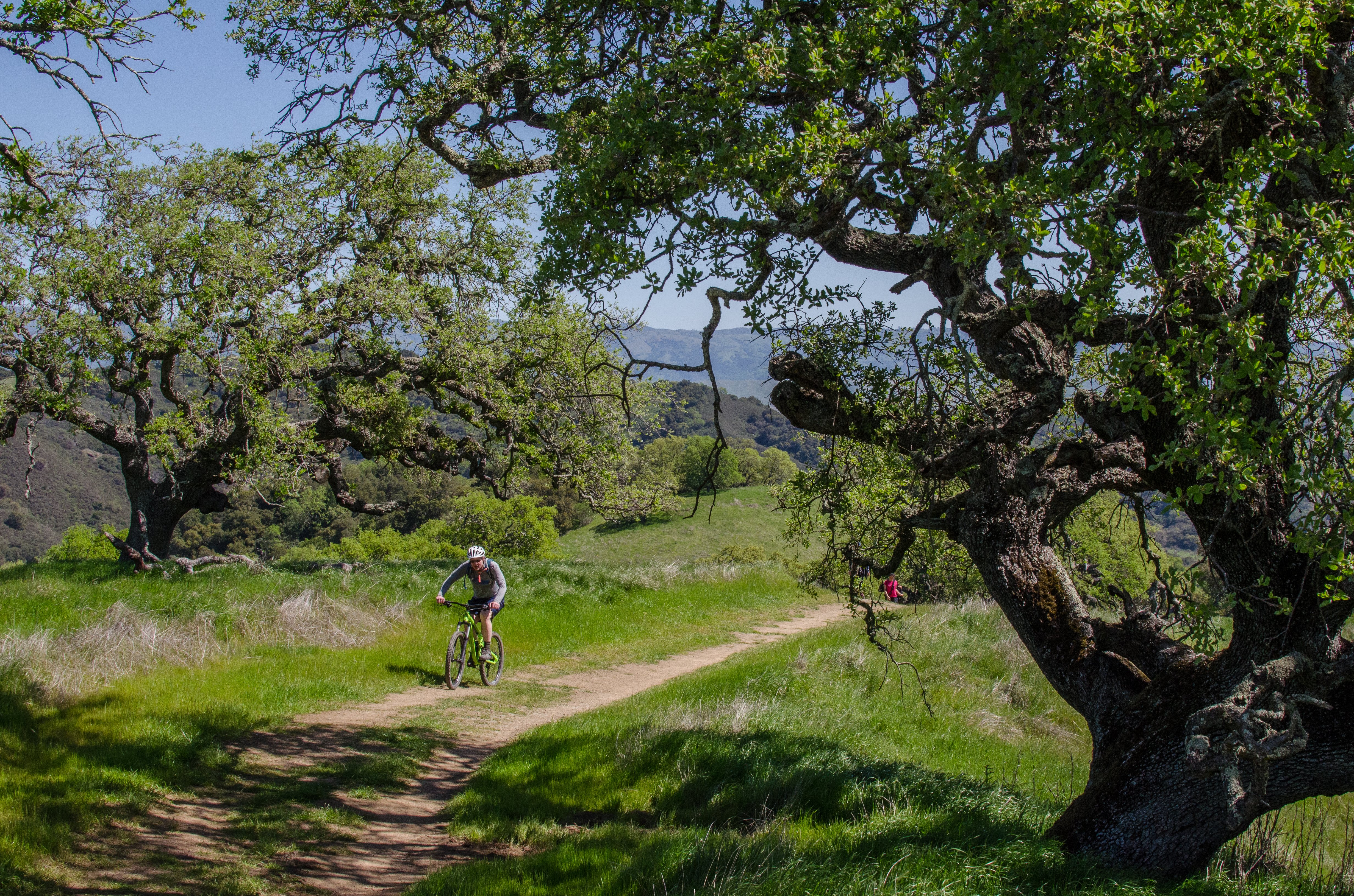 mountain-bike-rancho