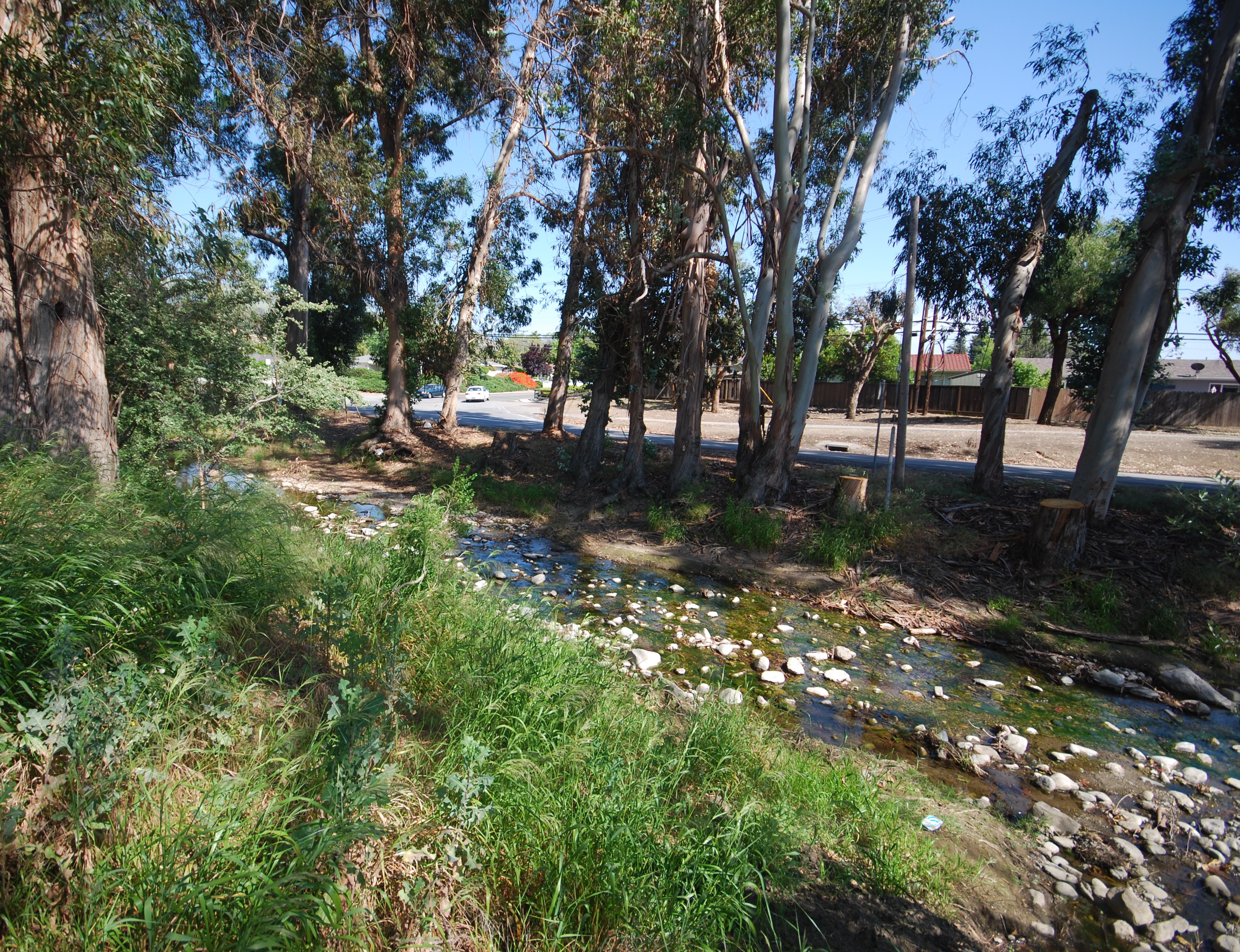 penitencia creek trail