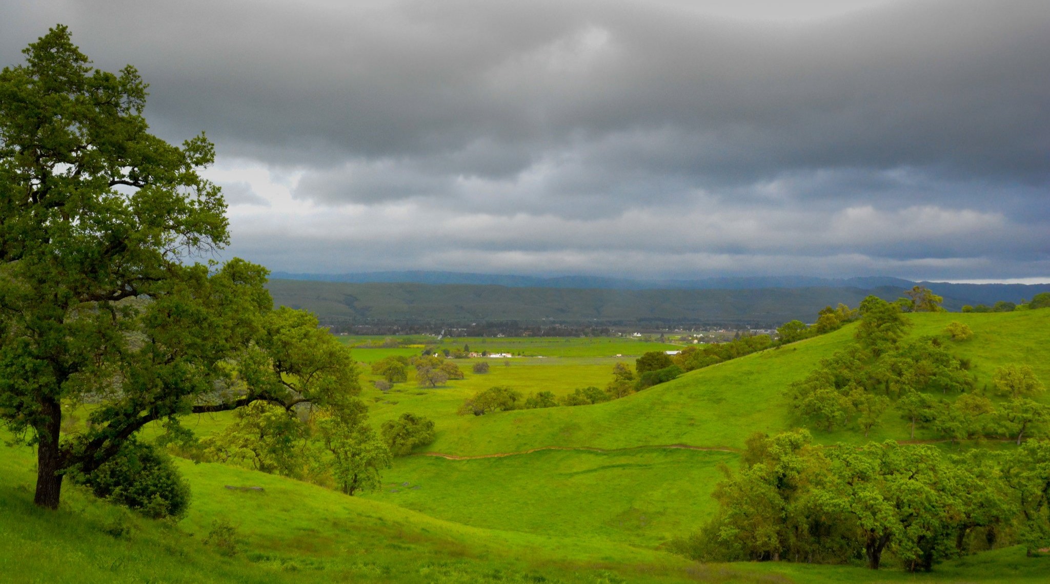 cdn2-hubspot-nethubfs2443326Blog_2017coyote-valley-open-space-preserve-winter-hiking-tips-3