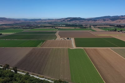 south county farmland newsletter