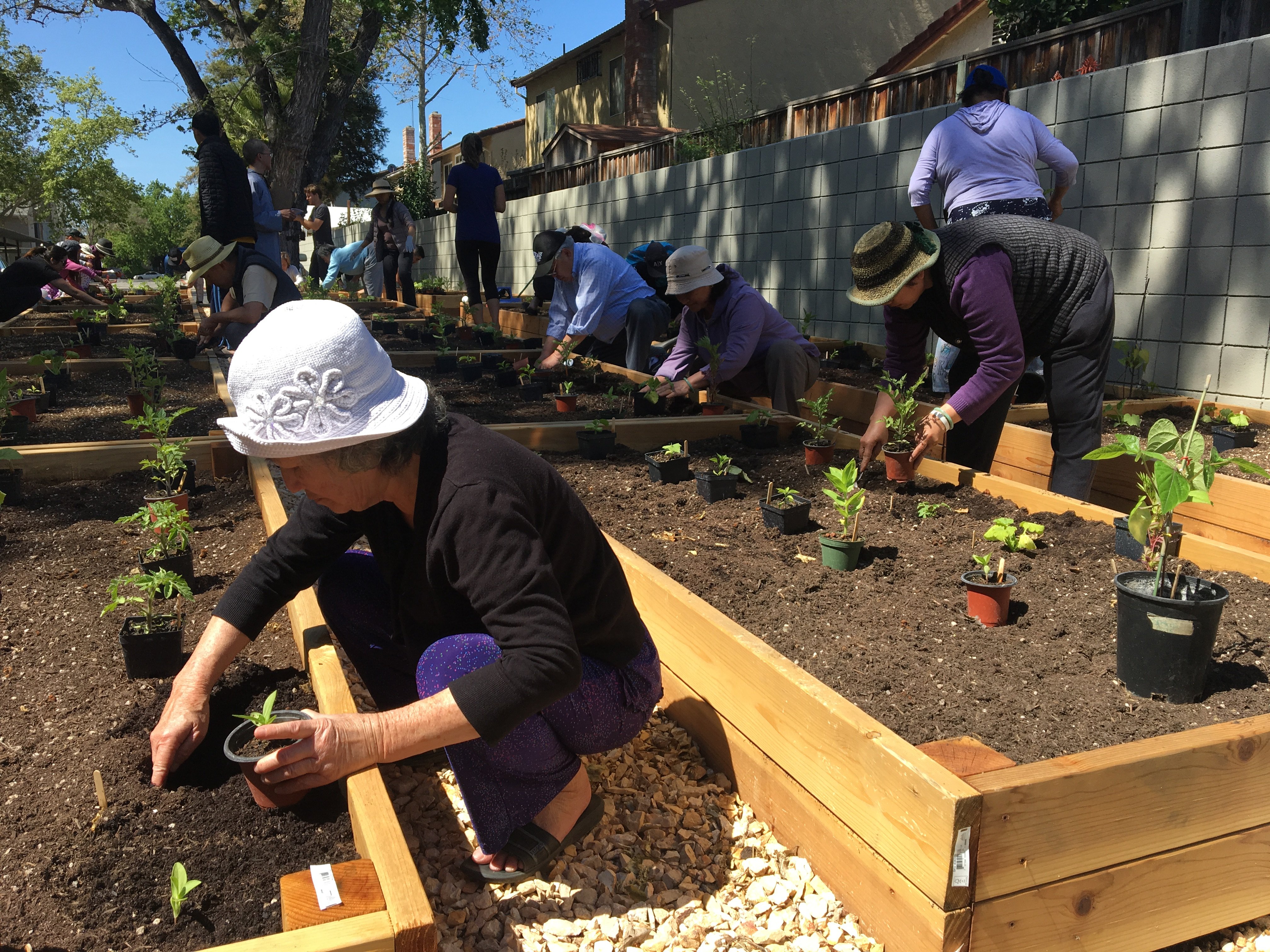 valley verde - planting day 1