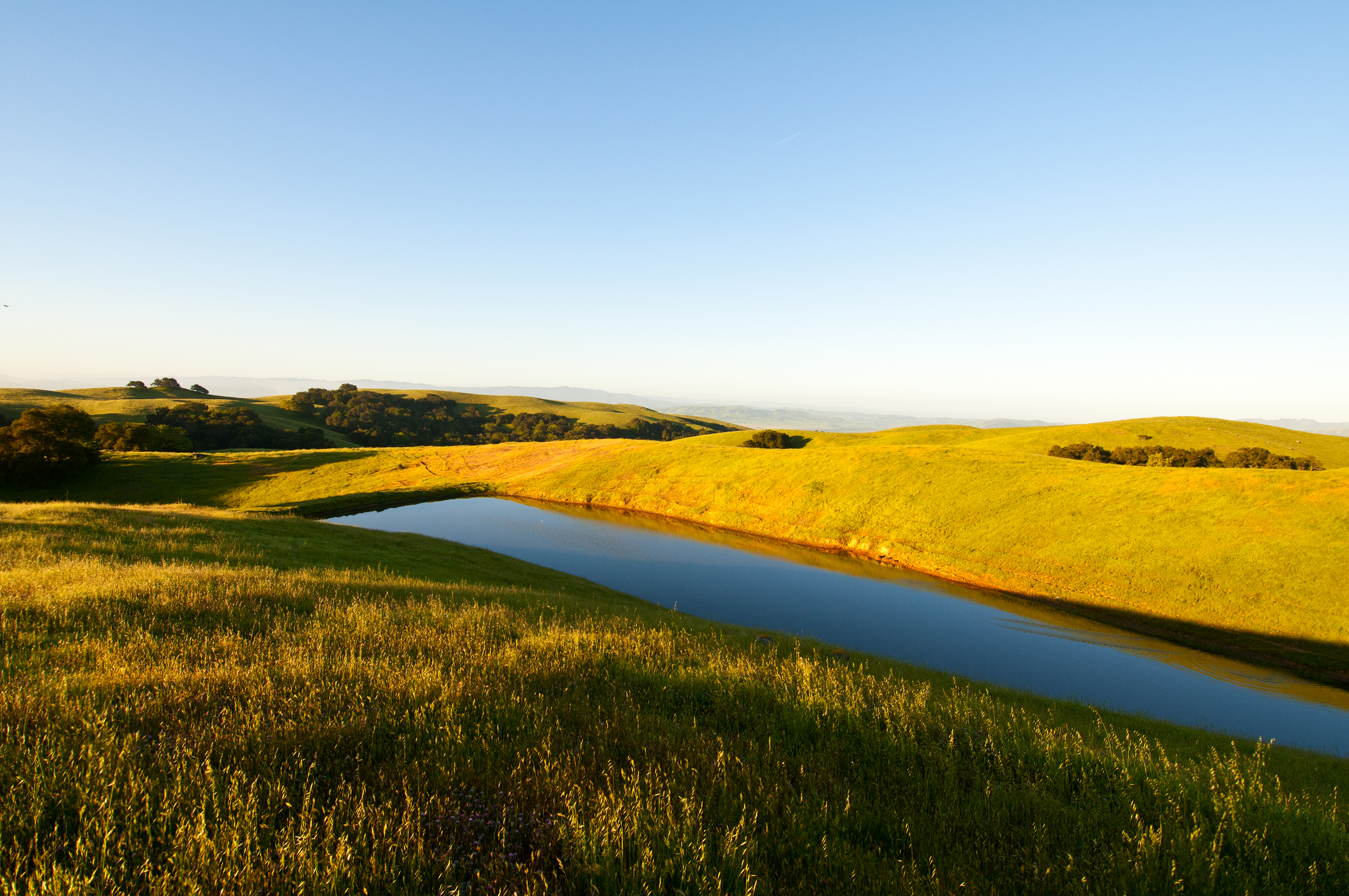 Doan Ranchland with pond - OSA - 02-25-2014-1