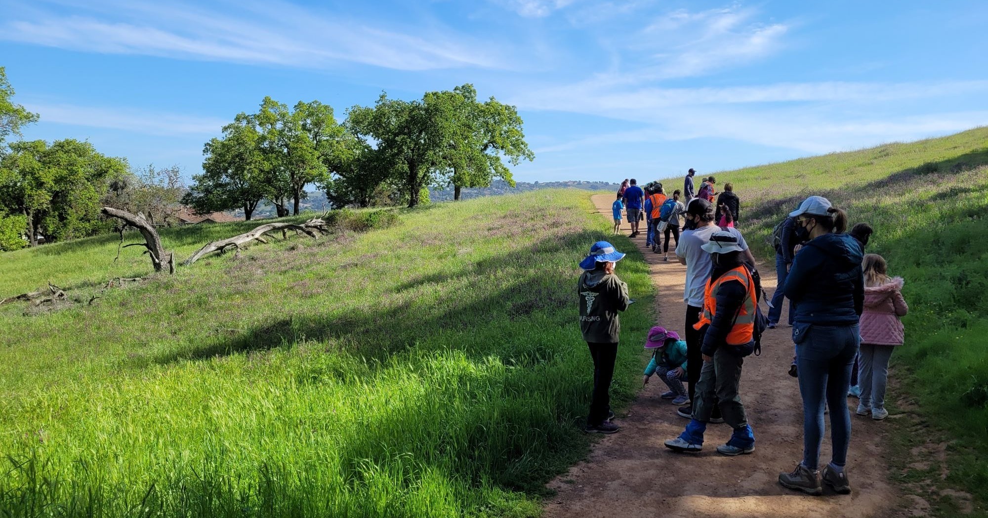 Group of hikers at a bioblitz event