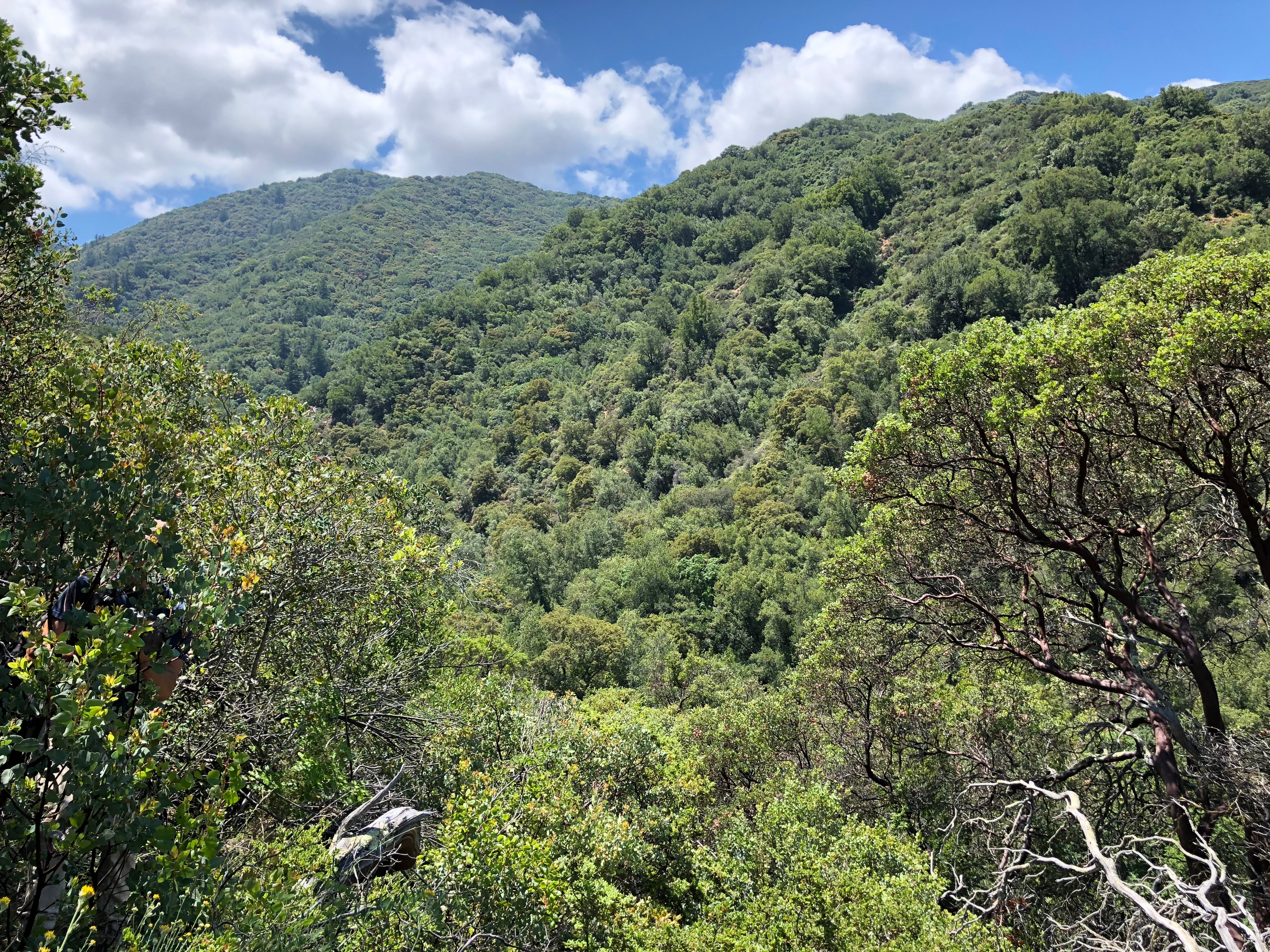 POST_Barrett Creek (1)